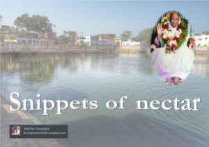 Snippets of nectar